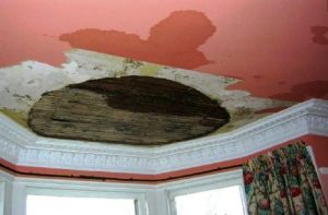 Water Damage Repairs Edinburgh - Property Restoration Services